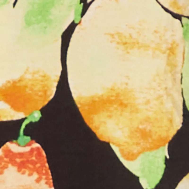 Airy Fruit Print Button Front Shirt