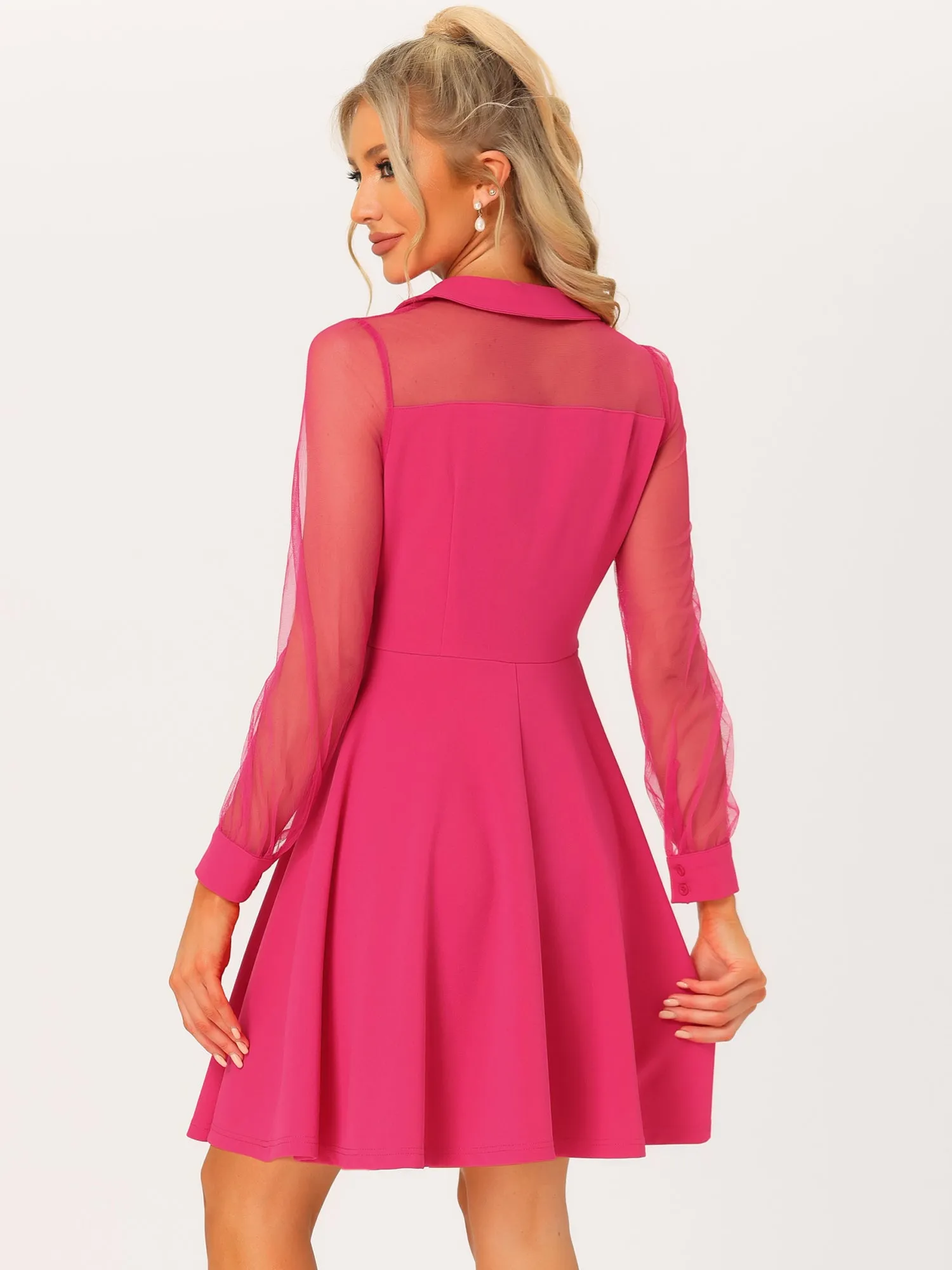 Cocktail Party Sheer Mesh Panel Long Sleeve Mini A-Line Dress