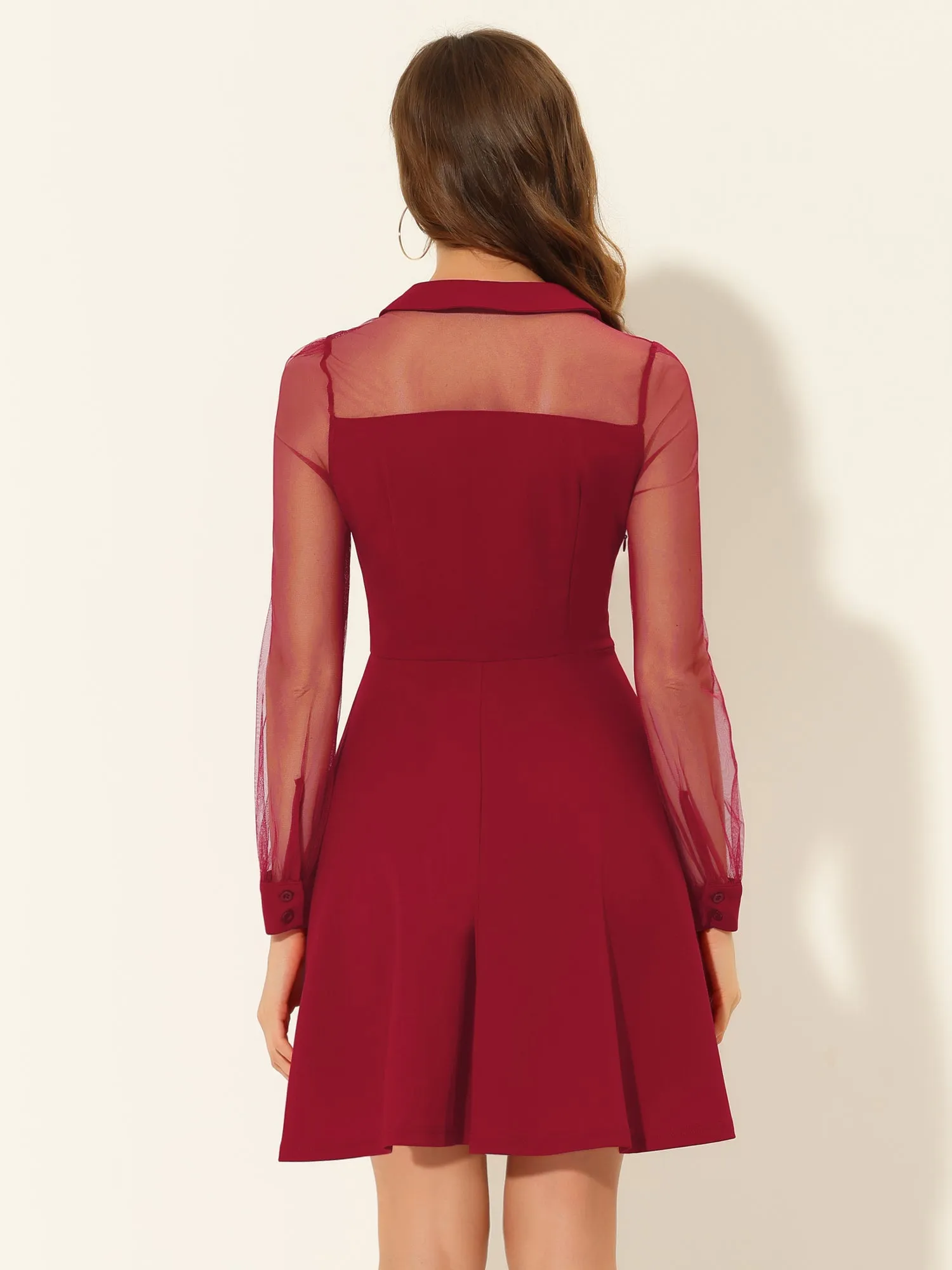 Cocktail Party Sheer Mesh Panel Long Sleeve Mini A-Line Dress