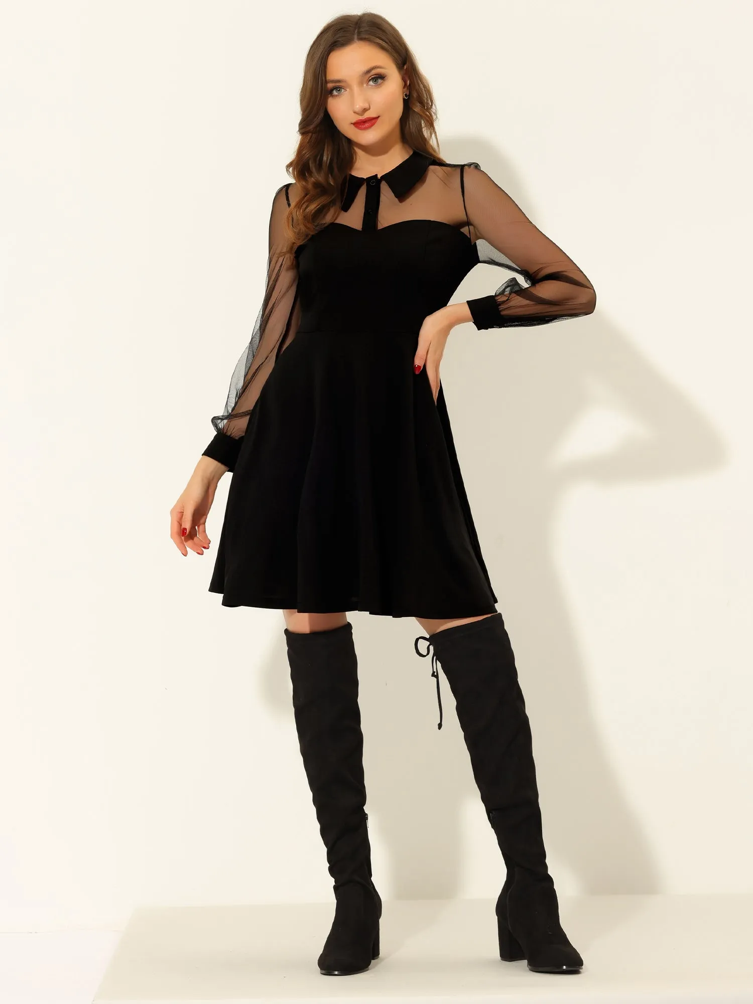 Cocktail Party Sheer Mesh Panel Long Sleeve Mini A-Line Dress
