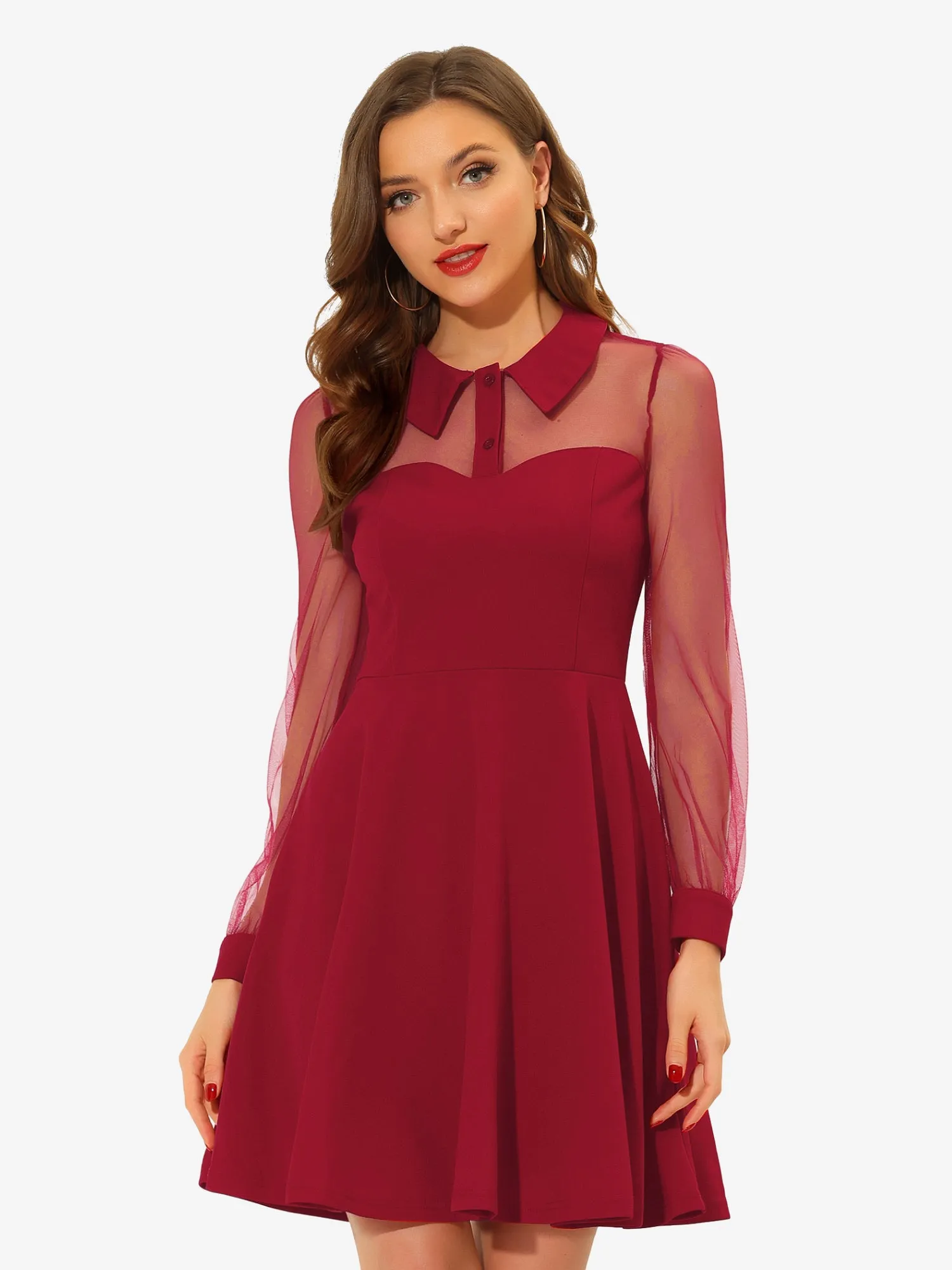 Cocktail Party Sheer Mesh Panel Long Sleeve Mini A-Line Dress