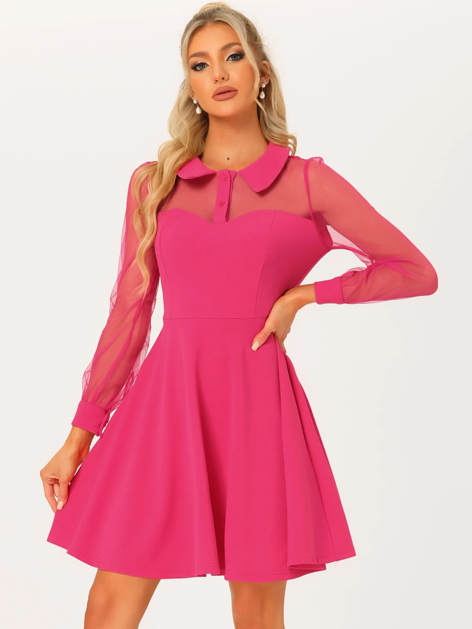 Cocktail Party Sheer Mesh Panel Long Sleeve Mini A-Line Dress