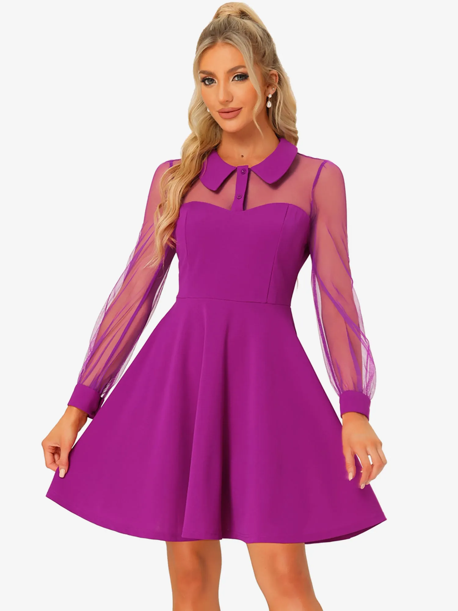 Cocktail Party Sheer Mesh Panel Long Sleeve Mini A-Line Dress