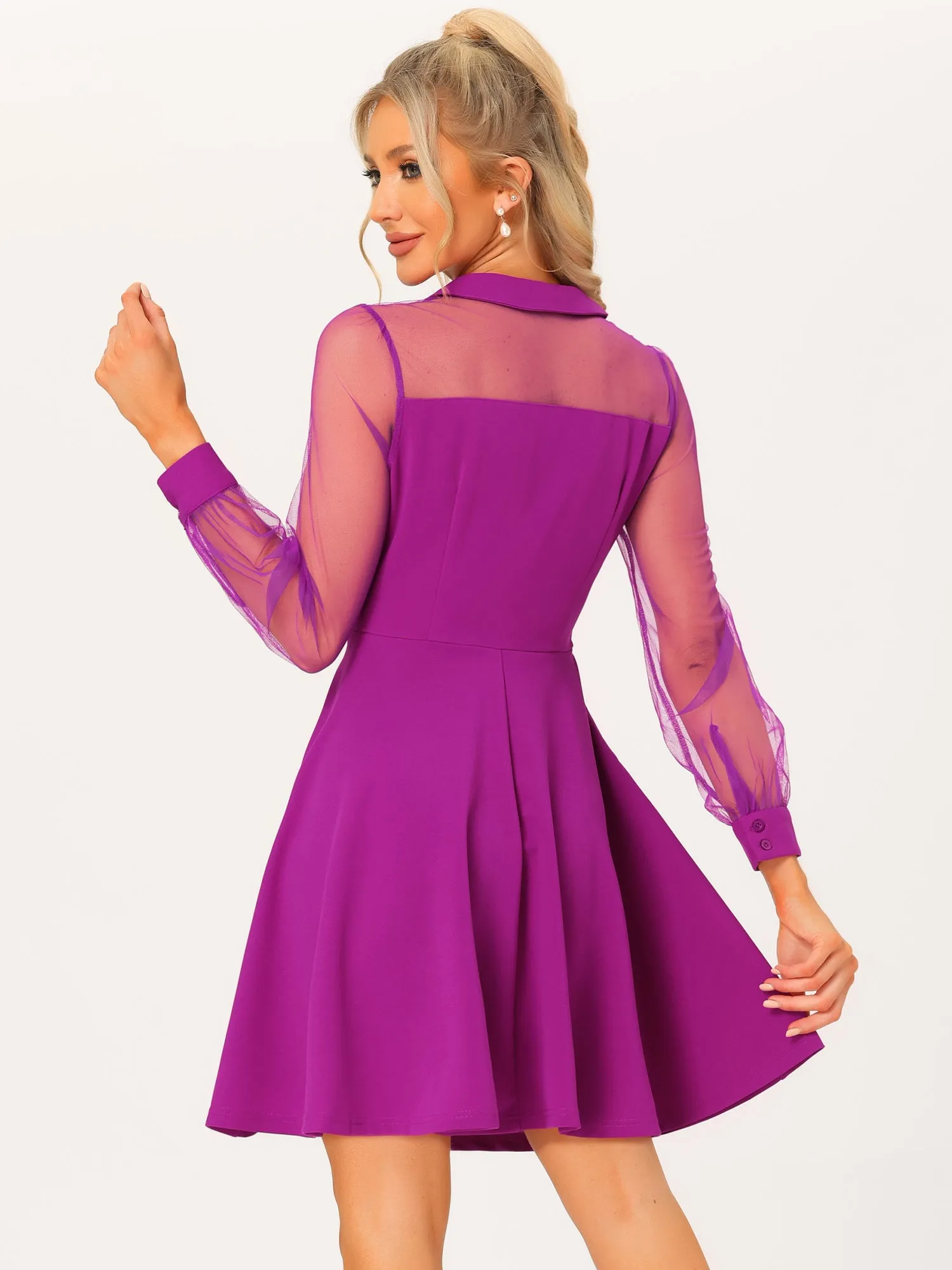 Cocktail Party Sheer Mesh Panel Long Sleeve Mini A-Line Dress