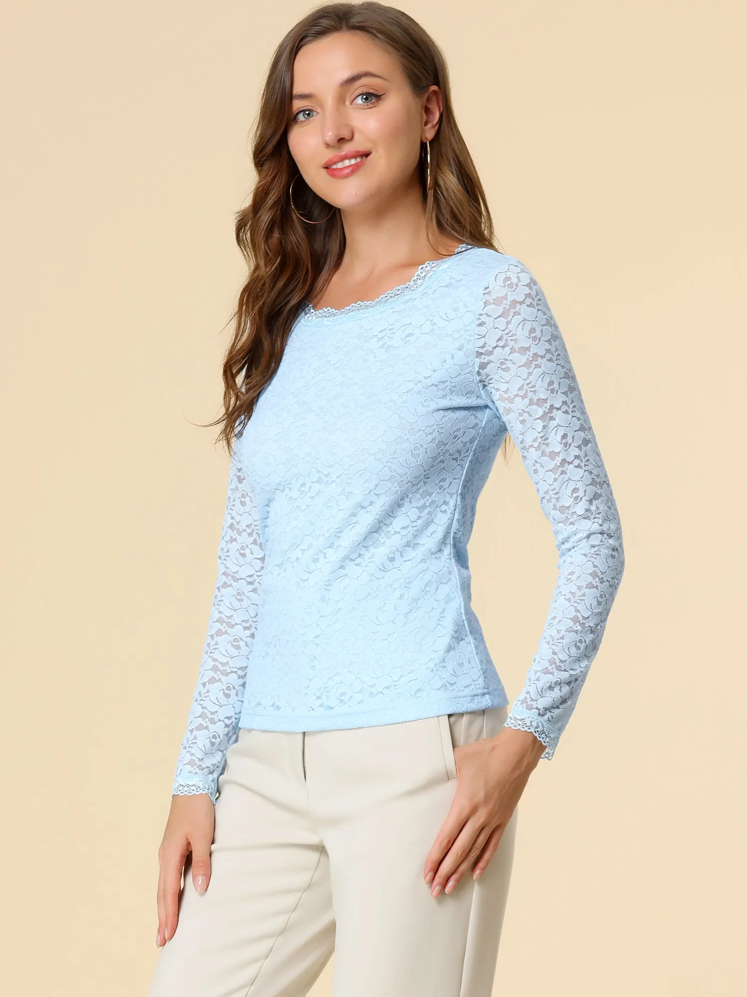 Crew Neck Sheer Long Sleeve Flower Embroidery Lace Blouse