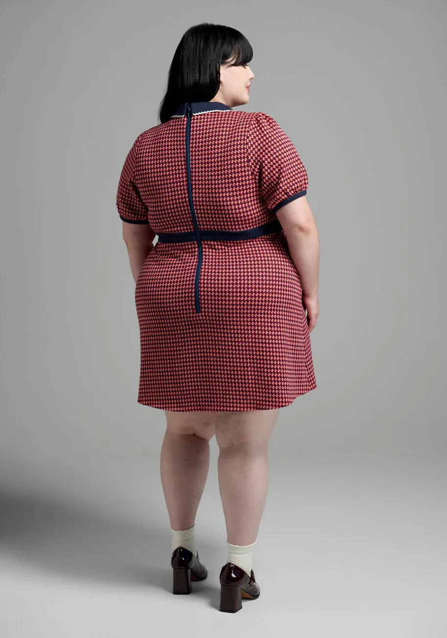 Scholastic Classic Collared Mini Dress