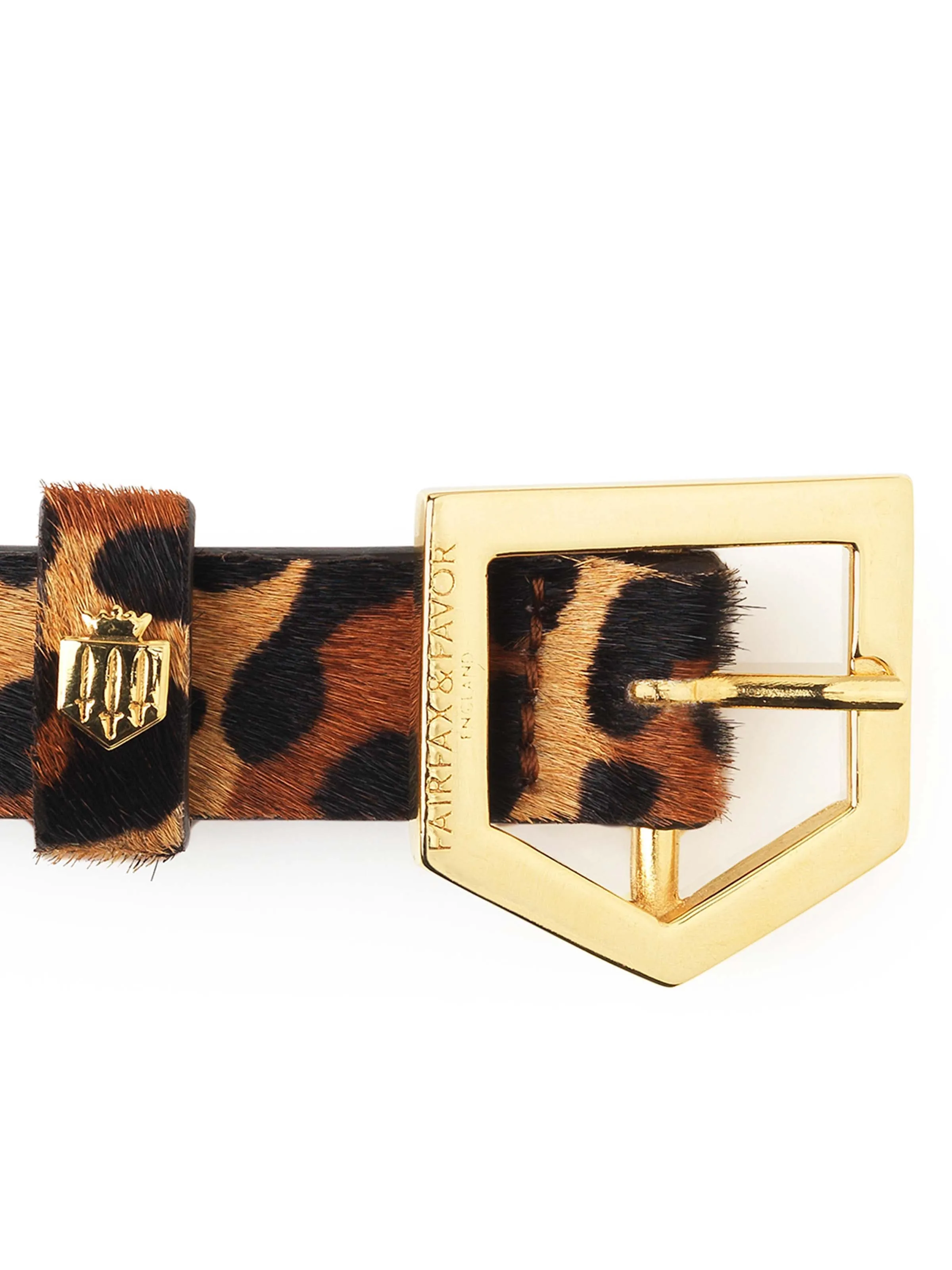 Sennowe Belt - Jaguar Haircalf