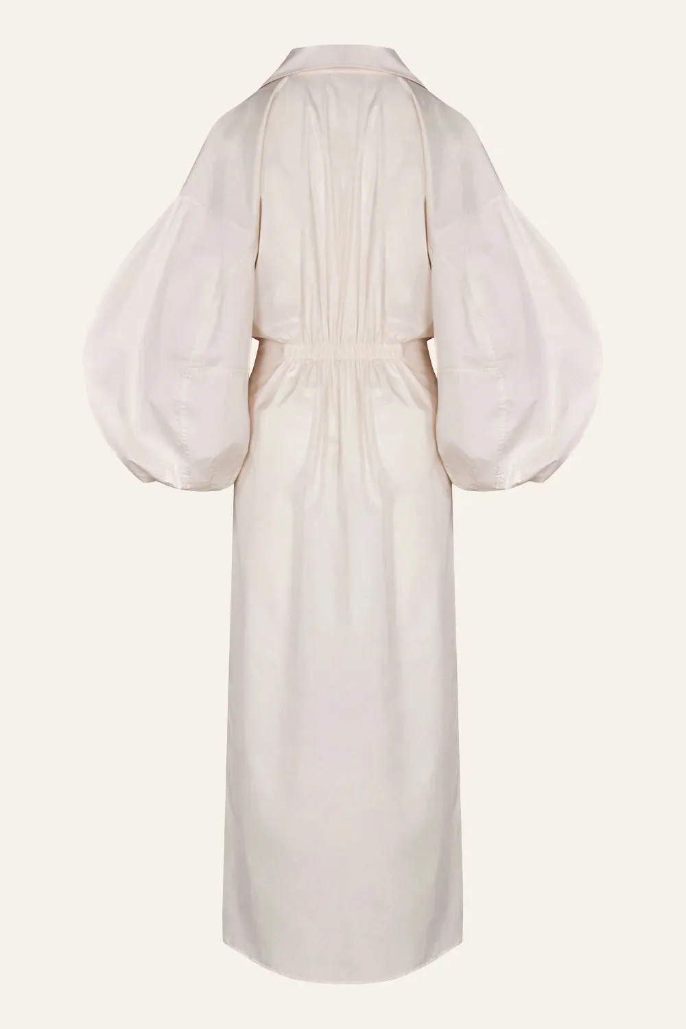 Sierra Blanca Shirtdress