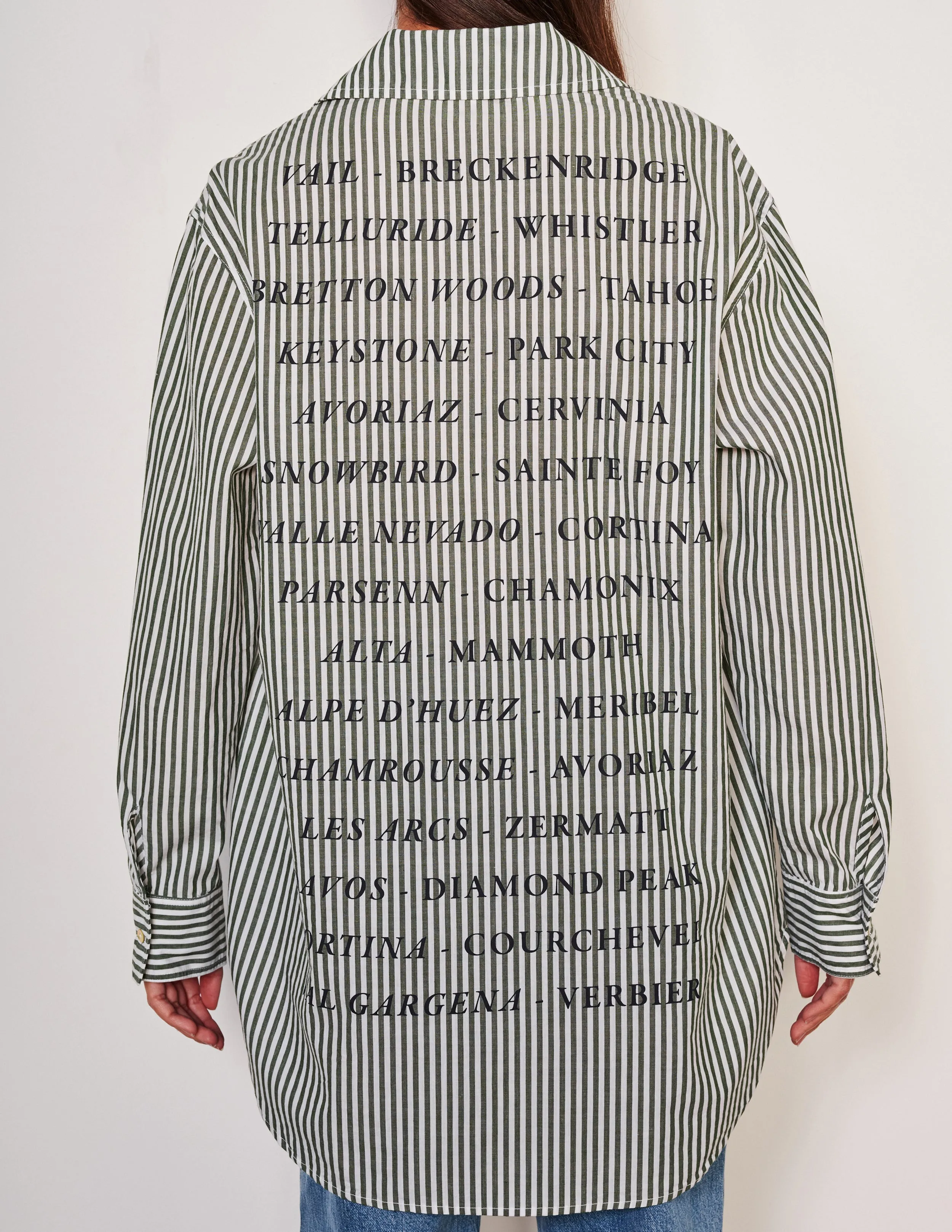 Sundry Destinations Oversized Shirt in Fern
