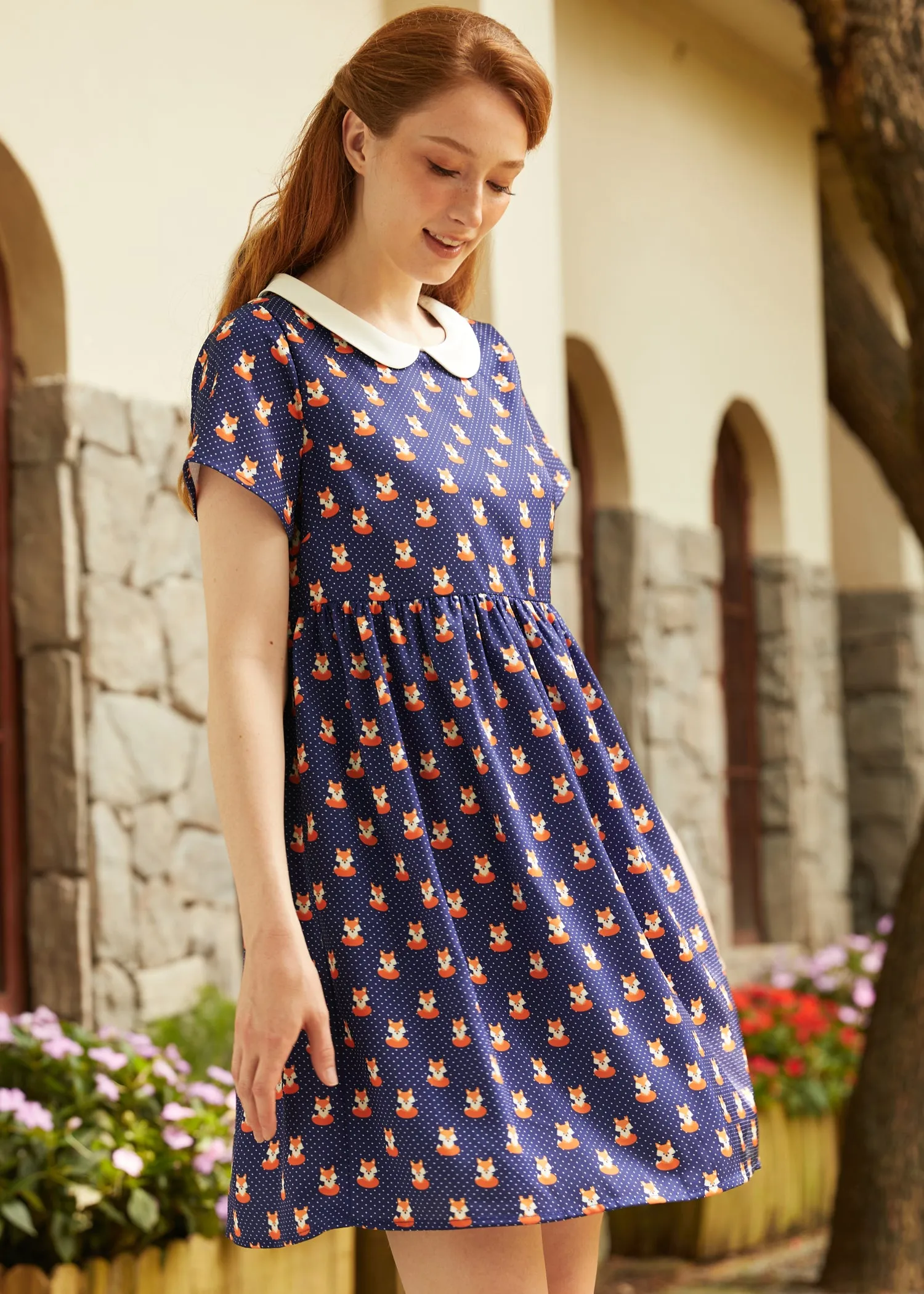 Whimsy & Wonder Collar Empire Dress
